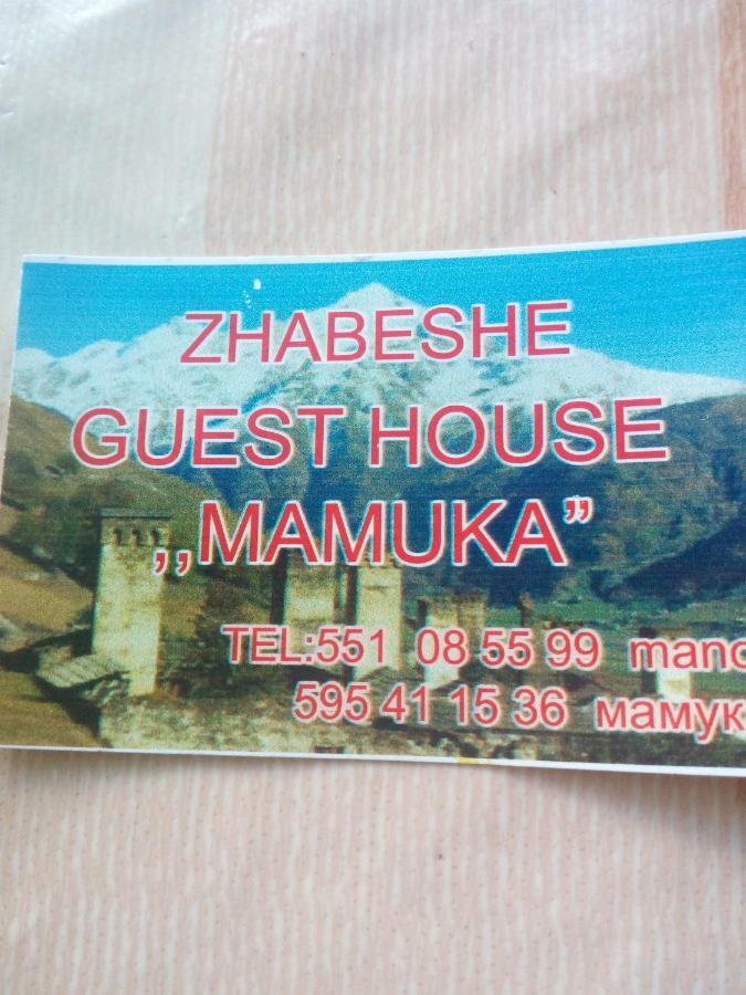Guesthouse MAMUKA zhabesh Zhabeshi Exterior foto